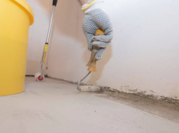 Best Termite Inspection and Treatment  in New York Mills, MN